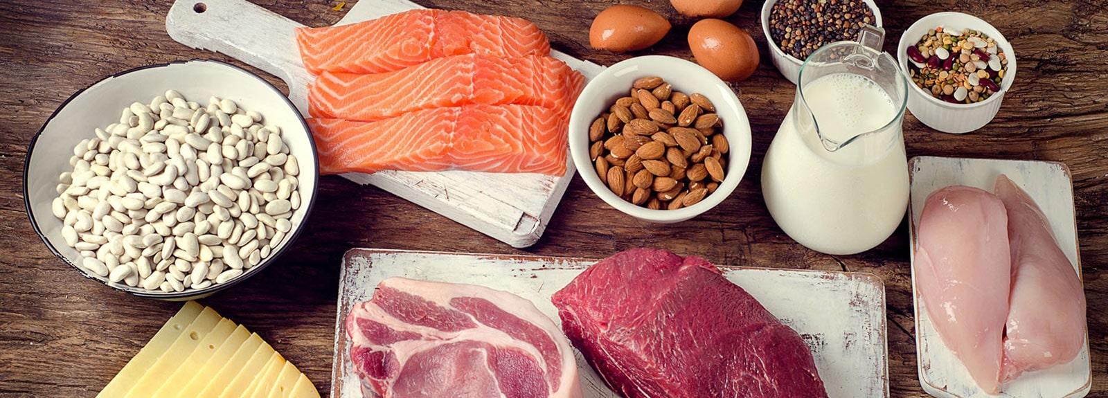 Table remplie d'aliments riches en protéines, dont du saumon, du bœuf, des noix, des haricots, des œufs et du lait